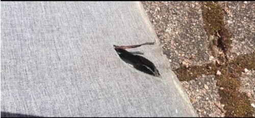 AFERIY AF-S400A1 Panneau Solaire Portable 400W photo review